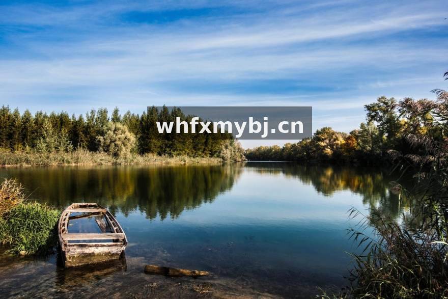 完美电竞 从青训落选到国服前十:一位上单选手的三年复盘笔记